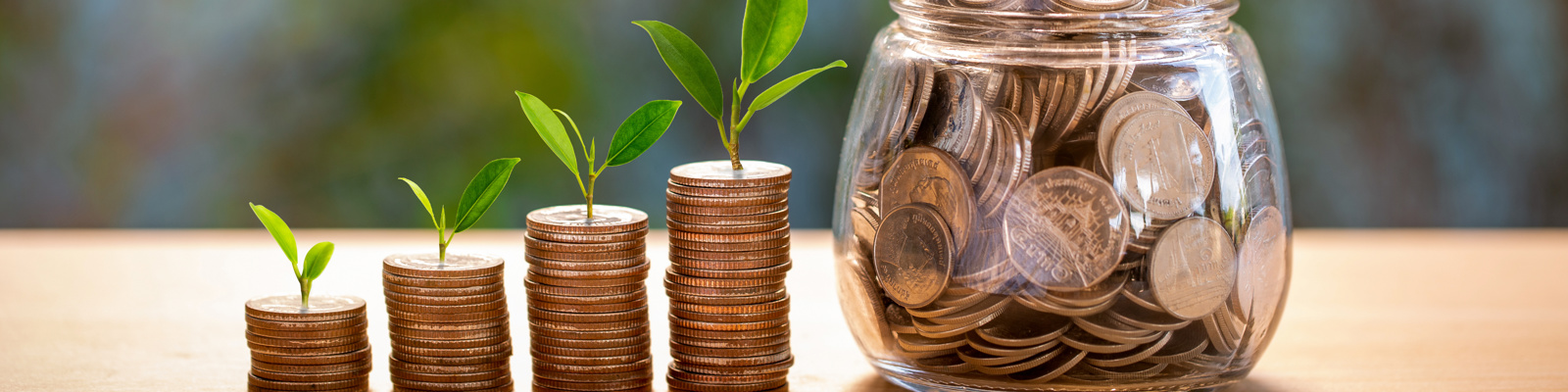 Plant growing in savings coins with nature background. Saving money and investment concept.